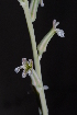  ( - BHD162)  @11 [ ] Unspecified (default): All Rights Reserved  Unspecified Unspecified