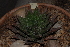  ( - BHD163)  @11 [ ] Unspecified (default): All Rights Reserved  Unspecified Unspecified