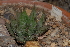 ( - BHD185)  @11 [ ] Unspecified (default): All Rights Reserved  Unspecified Unspecified