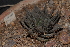  ( - BHD186)  @11 [ ] Unspecified (default): All Rights Reserved  Unspecified Unspecified