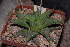  ( - BHD187)  @11 [ ] Unspecified (default): All Rights Reserved  Unspecified Unspecified