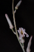  ( - BHD187)  @11 [ ] Unspecified (default): All Rights Reserved  Unspecified Unspecified