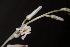  ( - BHD187)  @11 [ ] Unspecified (default): All Rights Reserved  Unspecified Unspecified
