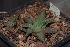 ( - BHD188)  @11 [ ] Unspecified (default): All Rights Reserved  Unspecified Unspecified