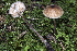  ( - BGE_00471_G10)  @11 [ ] Copyright (2024) Emanuele Campo None