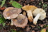  ( - BGE_00472_C04)  @11 [ ] Copyright (2024) Luciano Michelin None