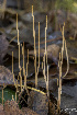  ( - BGE_00473_C04)  @11 [ ] Copyright (2024) Renato Jonny Ferrari none