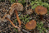  ( - BGE_00473_D08)  @11 [ ] Copyright (2024) Renato Jonny Ferrari none
