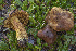  ( - BGE_00473_E06)  @11 [ ] Copyright (2024) Renato Jonny Ferrari none