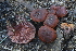  ( - BGE_00473_G12)  @11 [ ] Copyright (2024) Alessandro Ruggero None