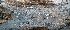  ( - BGE_00477_A02)  @11 [ ] Copyright (2039) Enrico Bizio none