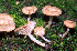  ( - BGE_00480_H05)  @11 [ ] Copyright (2024) Fabio Padovan None