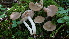  ( - BGE_00481_H01)  @11 [ ] Copyright (2024) Fabio Padovan None