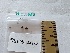  (Hebeloma nauseosum - BGE_00474_G07)  @11 [ ] Copyright (2025) Unspecified University of Trento