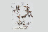  ( - L.3960345)  @11 [ ] CreativeCommons - Attribution Non-Commercial Share-Alike (2016) Unspecified Naturalis Biodiversity Center