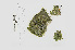  ( - L.3960394)  @11 [ ] CreativeCommons - Attribution Non-Commercial Share-Alike (2016) Unspecified Naturalis Biodiversity Center