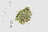  ( - L.3960450)  @11 [ ] CreativeCommons - Attribution Non-Commercial Share-Alike (2016) Unspecified Naturalis Biodiversity Center