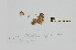  ( - L.3960163)  @11 [ ] CreativeCommons - Attribution Non-Commercial Share-Alike (2016) Unspecified Naturalis Biodiversity Center
