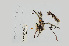  ( - L.3960183)  @11 [ ] CreativeCommons - Attribution Non-Commercial Share-Alike (2016) Unspecified Naturalis Biodiversity Center
