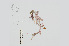  ( - L.3960209)  @11 [ ] CreativeCommons - Attribution Non-Commercial Share-Alike (2016) Unspecified Naturalis Biodiversity Center