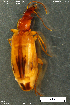  ( - KSA3690)  @11 [ ] Creative Commons Attribution NonCommercial ShareAlike (2023) (2024) Research Center in Biodiversity and Genetic Resources Research Center in Biodiversity and Genetic Resources