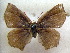  ( - MLIB-1611)  @11 [ ] CreativeCommons - Attribution (2015) Michel Libert Centre for Biodiversity Genomics