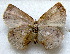  ( - MLIB-1704)  @12 [ ] CreativeCommons - Attribution (2015) Michel Libert Centre for Biodiversity Genomics