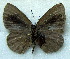  ( - MLIB-1792)  @12 [ ] CreativeCommons - Attribution (2015) Michel Libert Centre for Biodiversity Genomics