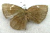  ( - MLIB-1972)  @12 [ ] CreativeCommons - Attribution (2016) Michel Libert Centre for Biodiversity Genomics