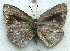  ( - MLIB-1986)  @12 [ ] CreativeCommons - Attribution (2016) Michel Libert Centre for Biodiversity Genomics