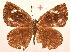 ( - MLIB-2012)  @11 [ ] CreativeCommons - Attribution Non-Commercial Share-Alike (2017) Michel Libert Centre for Biodiversity Genomics