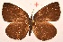  ( - MLIB-2013)  @11 [ ] CreativeCommons - Attribution Non-Commercial Share-Alike (2017) Michel Libert Centre for Biodiversity Genomics