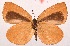  ( - MLIB-2013)  @11 [ ] CreativeCommons - Attribution Non-Commercial Share-Alike (2017) Michel Libert Centre for Biodiversity Genomics