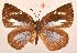  ( - MLIB-2024)  @12 [ ] CreativeCommons - Attribution Non-Commercial Share-Alike (2017) Michel Libert Centre for Biodiversity Genomics