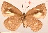  ( - MLIB-2024)  @12 [ ] CreativeCommons - Attribution Non-Commercial Share-Alike (2017) Michel Libert Centre for Biodiversity Genomics