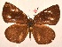  ( - MLIB-2031)  @13 [ ] CreativeCommons - Attribution Non-Commercial Share-Alike (2017) Michel Libert Centre for Biodiversity Genomics