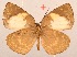  ( - MLIB-2044)  @13 [ ] CreativeCommons - Attribution Non-Commercial Share-Alike (2017) Michel Libert Centre for Biodiversity Genomics