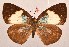  ( - MLIB-2054)  @14 [ ] CreativeCommons - Attribution Non-Commercial Share-Alike (2017) Michel Libert Centre for Biodiversity Genomics