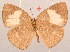 ( - MLIB-2072)  @13 [ ] CreativeCommons - Attribution Non-Commercial Share-Alike (2017) Michel Libert Centre for Biodiversity Genomics