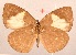  ( - MLIB-2073)  @13 [ ] CreativeCommons - Attribution Non-Commercial Share-Alike (2017) Michel Libert Centre for Biodiversity Genomics