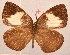  ( - MLIB-2074)  @13 [ ] CreativeCommons - Attribution Non-Commercial Share-Alike (2017) Michel Libert Centre for Biodiversity Genomics