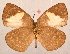  ( - MLIB-2074)  @13 [ ] CreativeCommons - Attribution Non-Commercial Share-Alike (2017) Michel Libert Centre for Biodiversity Genomics