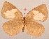  ( - MLIB-2075)  @12 [ ] CreativeCommons - Attribution Non-Commercial Share-Alike (2017) Michel Libert Centre for Biodiversity Genomics