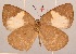  ( - MLIB-2081)  @11 [ ] CreativeCommons - Attribution Non-Commercial Share-Alike (2017) Michel Libert Centre for Biodiversity Genomics