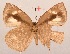  ( - MLIB-2085)  @12 [ ] CreativeCommons - Attribution Non-Commercial Share-Alike (2017) Michel Libert Centre for Biodiversity Genomics