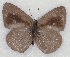  ( - MLIB-2130)  @11 [ ] CreativeCommons - Attribution Non-Commercial Share-Alike (2017) Michel Libert Centre for Biodiversity Genomics