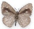  ( - MLIB-2146)  @12 [ ] CreativeCommons - Attribution Non-Commercial Share-Alike (2017) Michel Libert Centre for Biodiversity Genomics