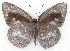  ( - MLIB-2166)  @14 [ ] CreativeCommons - Attribution Non-Commercial Share-Alike (2017) Michel Libert Centre for Biodiversity Genomics