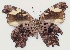  ( - MLIB-2172)  @12 [ ] CreativeCommons - Attribution Non-Commercial Share-Alike (2017) Michel Libert Centre for Biodiversity Genomics