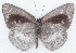  ( - MLIB-2173)  @13 [ ] CreativeCommons - Attribution Non-Commercial Share-Alike (2017) Michel Libert Centre for Biodiversity Genomics
